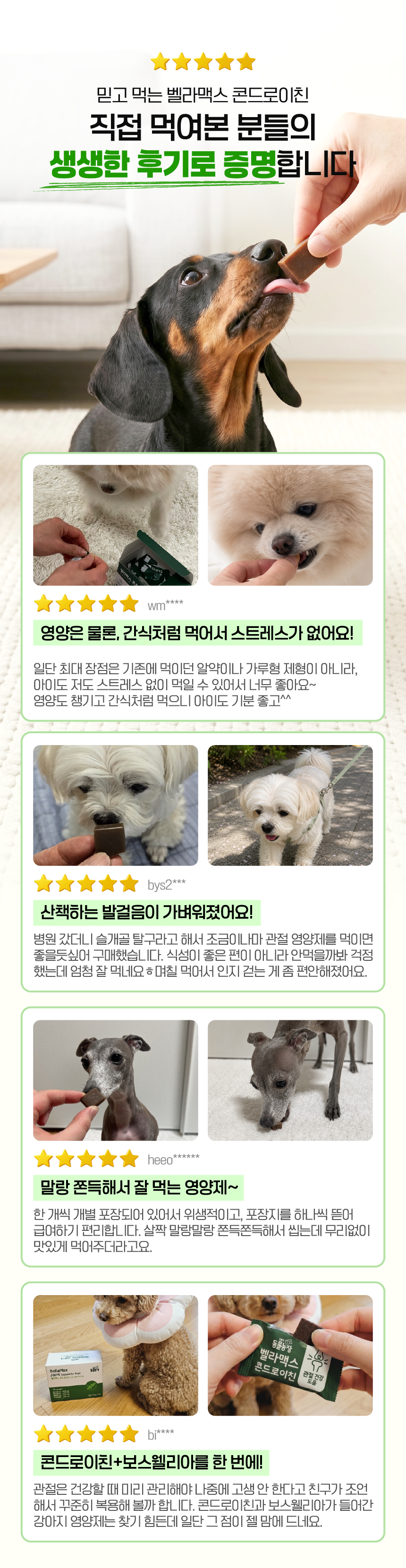 벨라맥스 SBS TV 동물농장 수의사 강아지 관절 영양제 콘드로이친