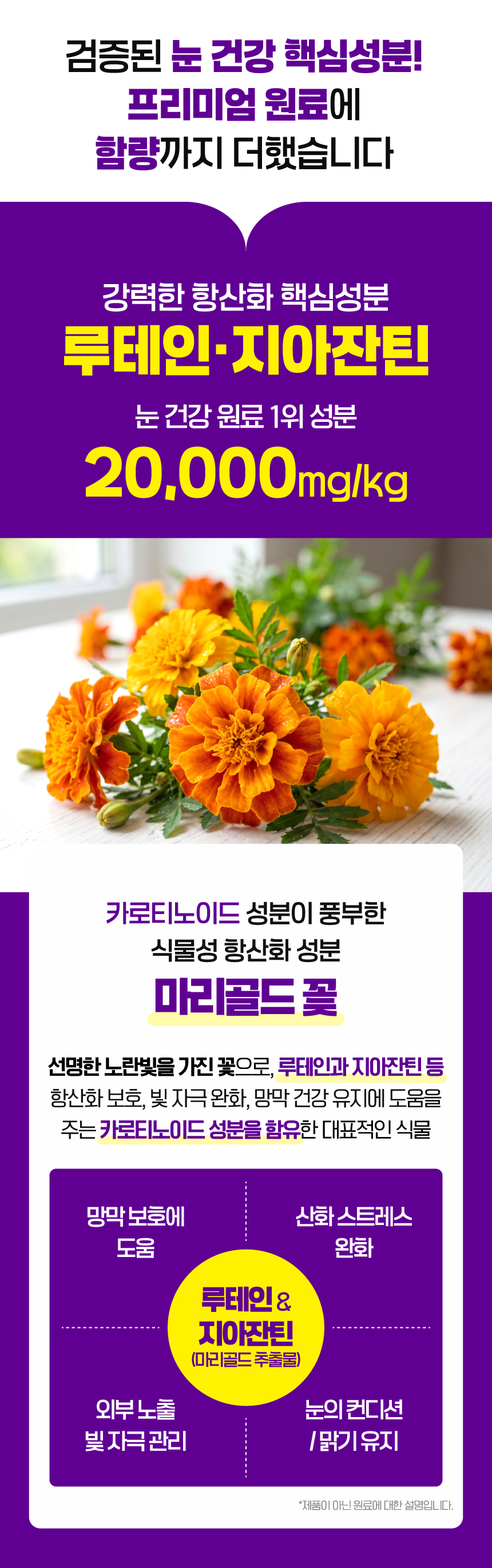 벨라맥스 SBS TV 동물농장 수의사 트릿 2종 세트 관절+눈 영양제