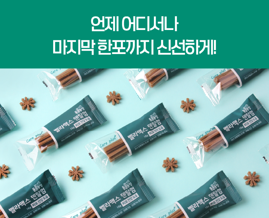 벨라맥스 SBS TV 동물농장 수의사 강아지 덴탈껌