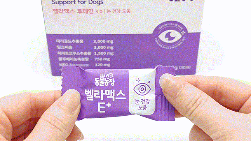 벨라맥스 SBS TV 동물농장 수의사 강아지 눈 영양제 루테인