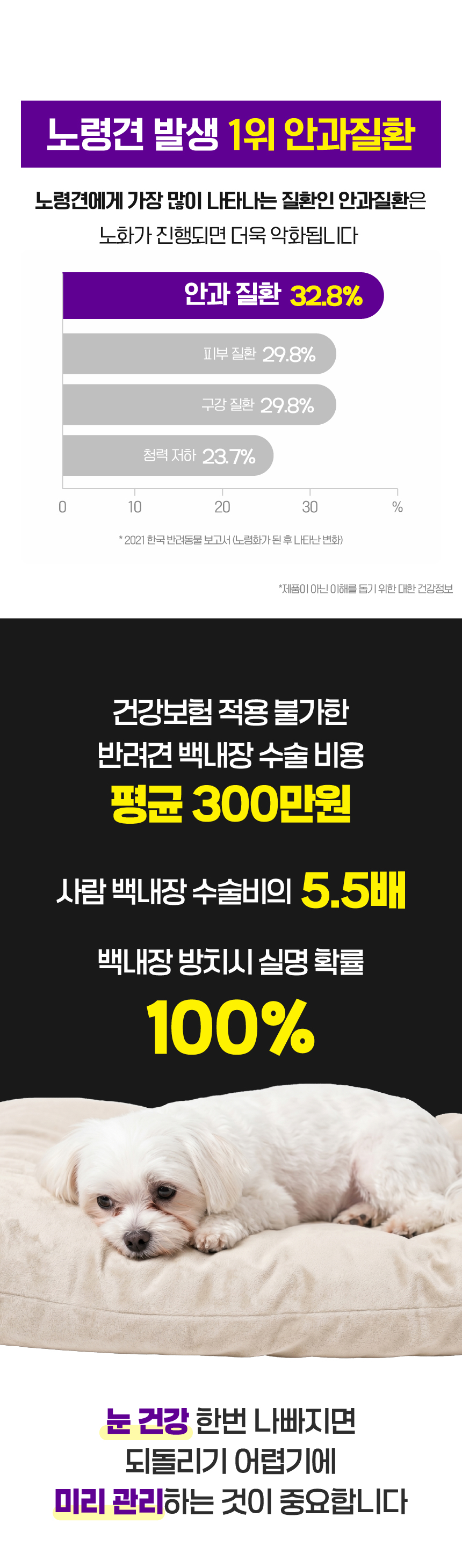 벨라맥스 SBS TV 동물농장 수의사 강아지 눈 영양제 루테인
