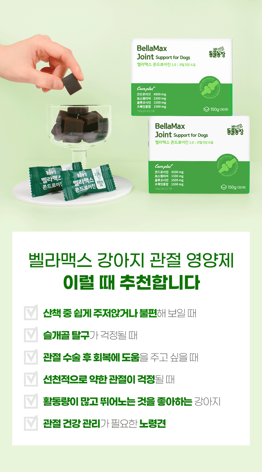 벨라맥스 SBS TV 동물농장 수의사 강아지 관절 영양제 콘드로이친