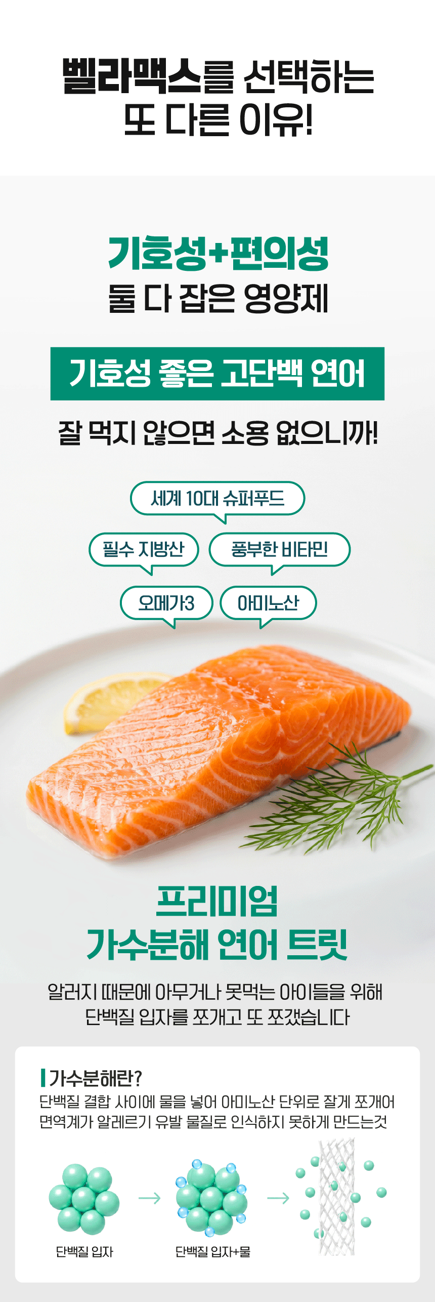 벨라맥스 SBS TV 동물농장 수의사 강아지 덴탈껌