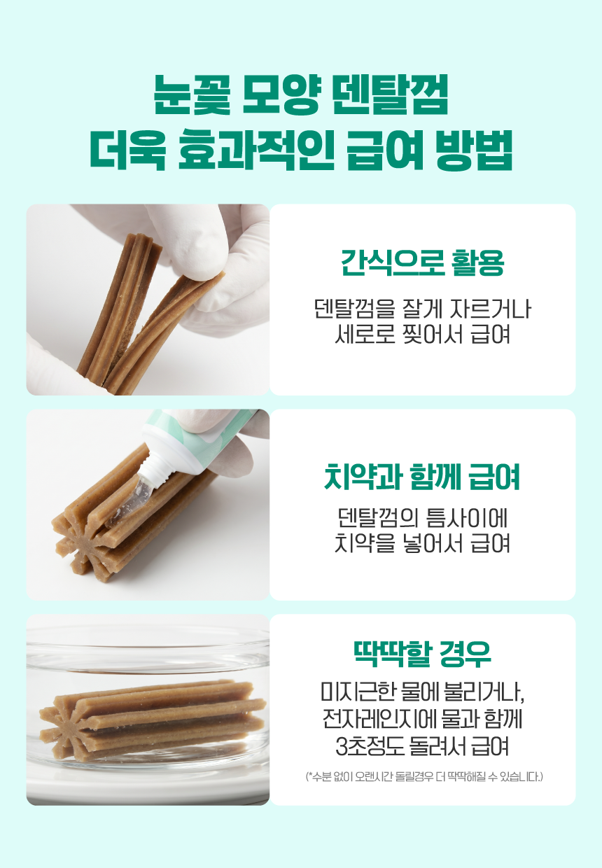 벨라맥스 SBS TV 동물농장 수의사 강아지 덴탈껌