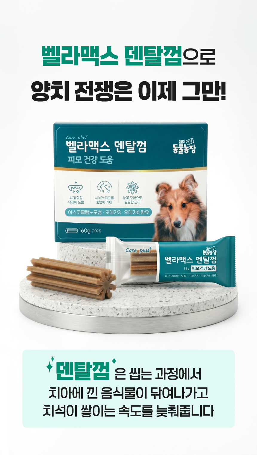 벨라맥스 SBS TV 동물농장 수의사 강아지 덴탈껌