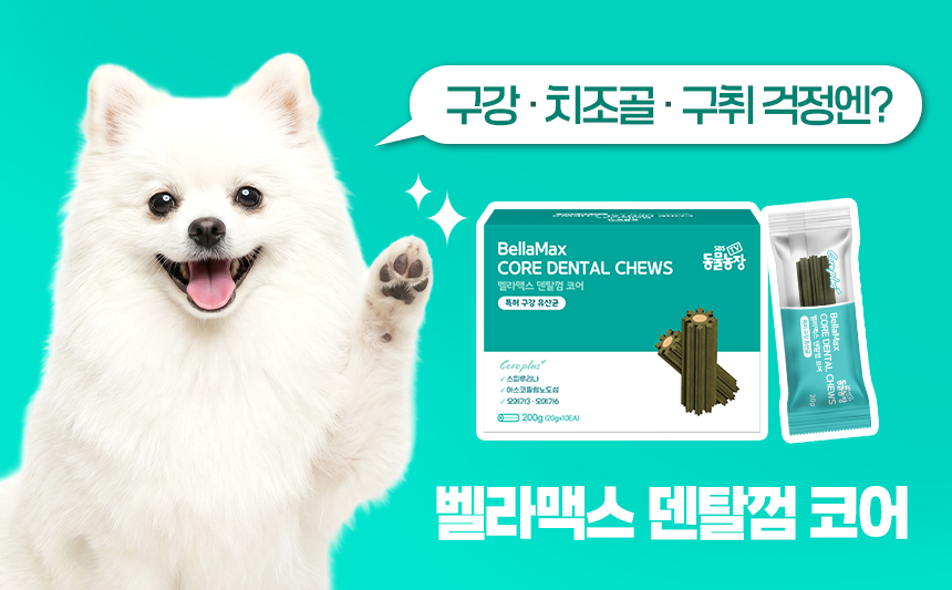 벨라맥스 SBS TV 동물농장 수의사 강아지 덴탈껌