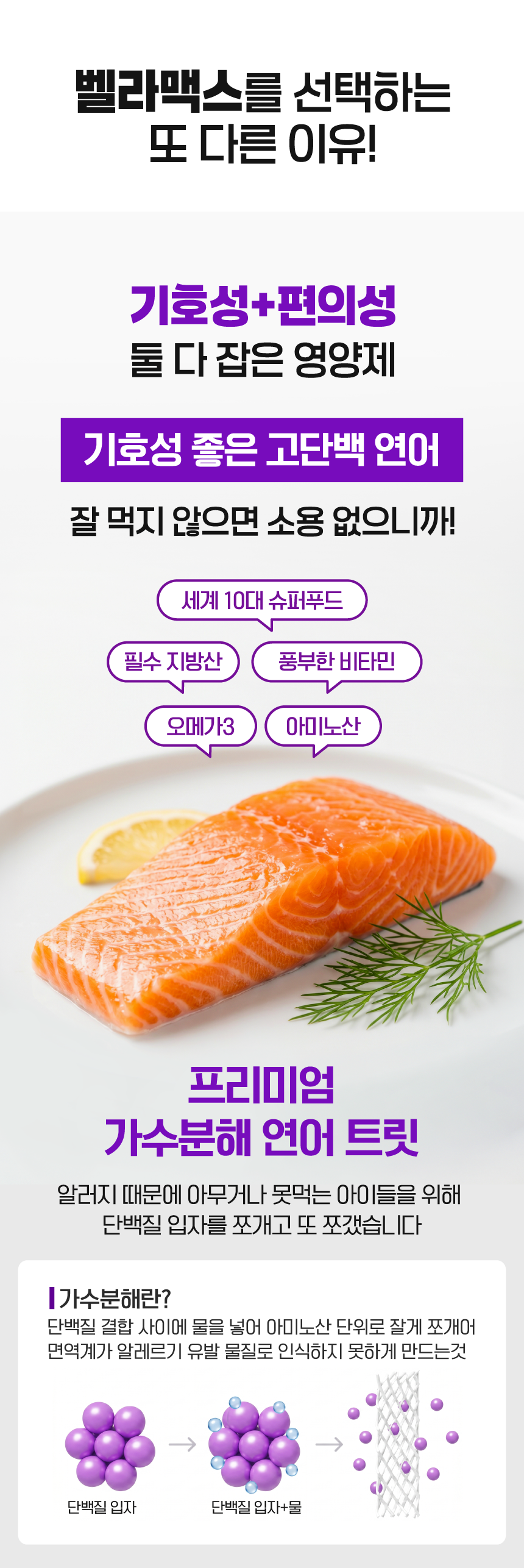 벨라맥스 SBS TV 동물농장 수의사 강아지 눈 영양제 루테인