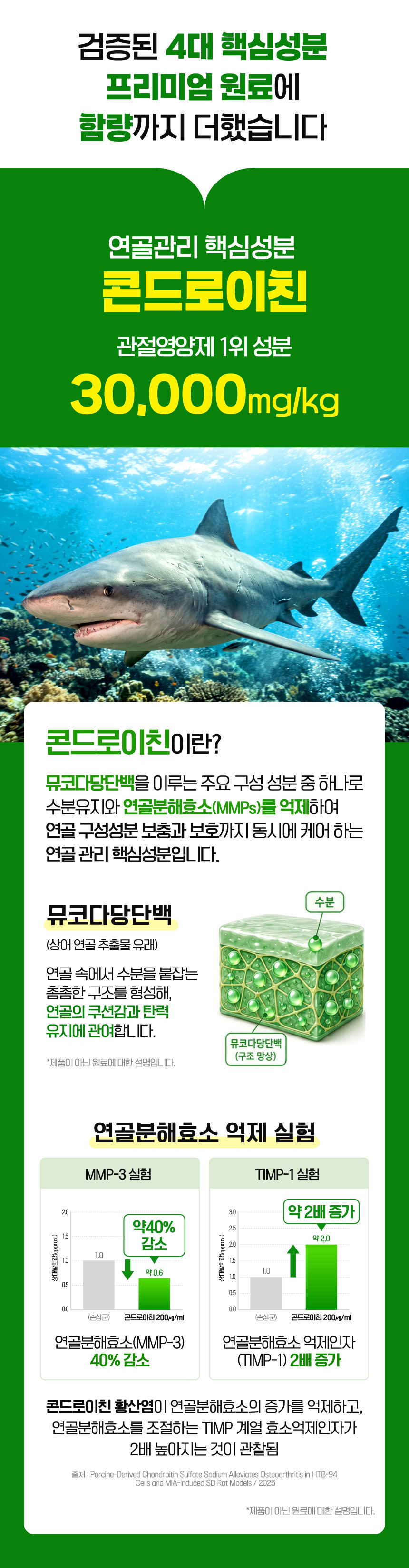 벨라맥스 SBS TV 동물농장 수의사 강아지 관절 영양제 콘드로이친