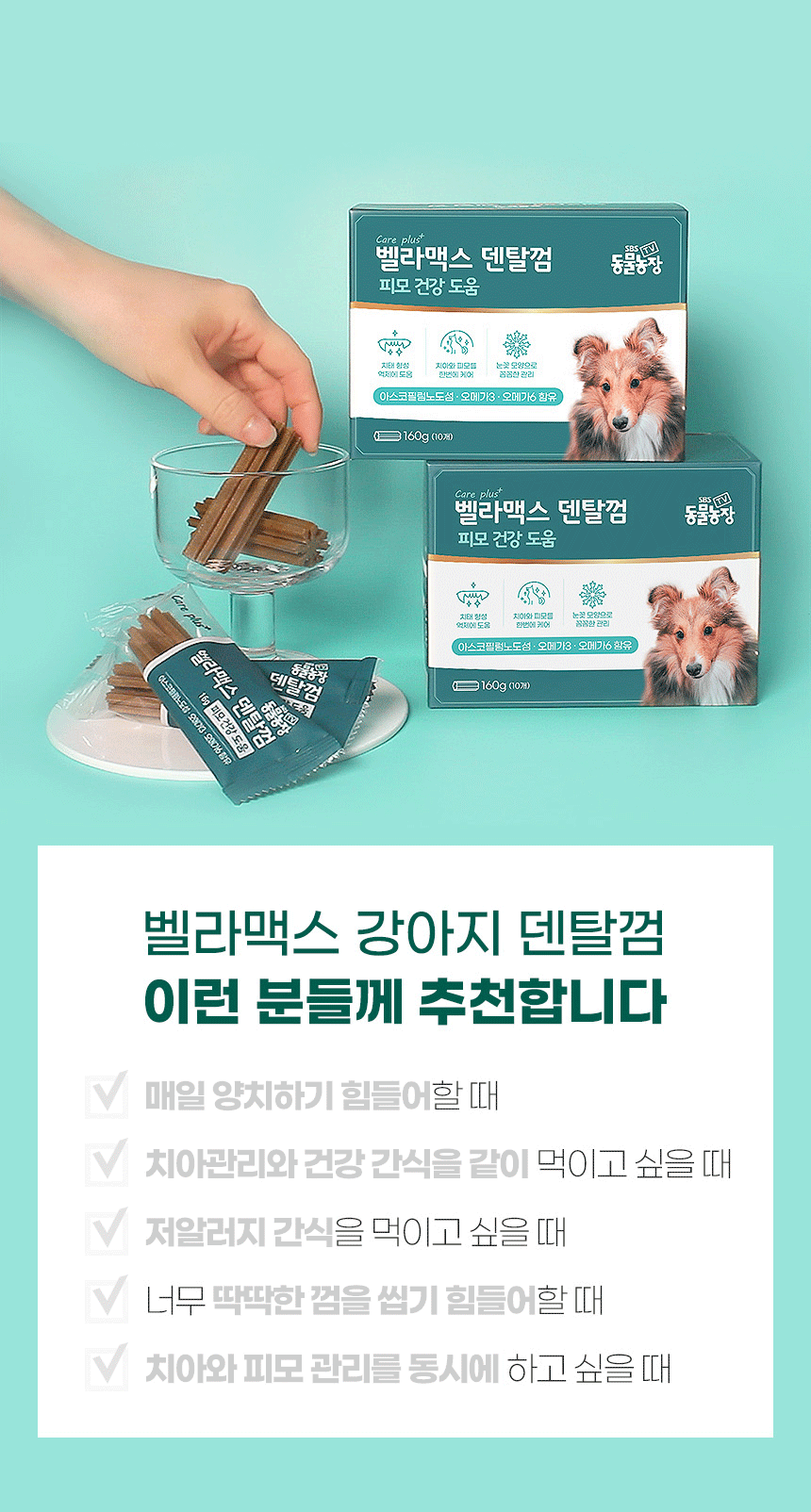 벨라맥스 SBS TV 동물농장 수의사 강아지 덴탈껌