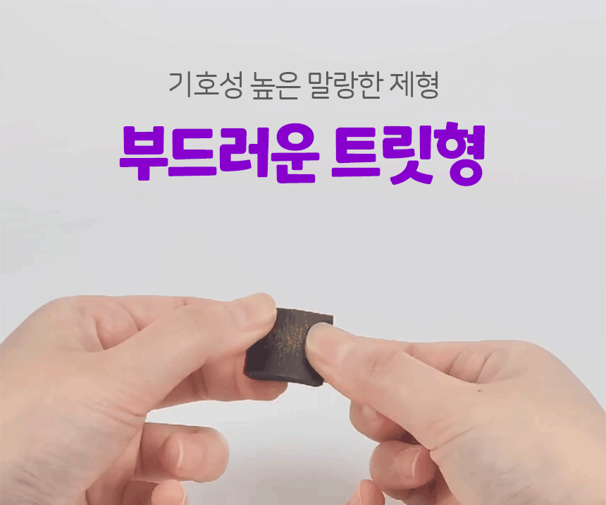 벨라맥스 SBS TV 동물농장 수의사 강아지 눈 영양제 루테인