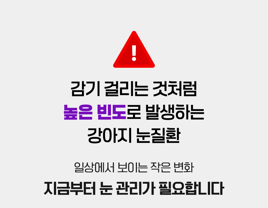 벨라맥스 SBS TV 동물농장 수의사 강아지 눈 영양제 루테인