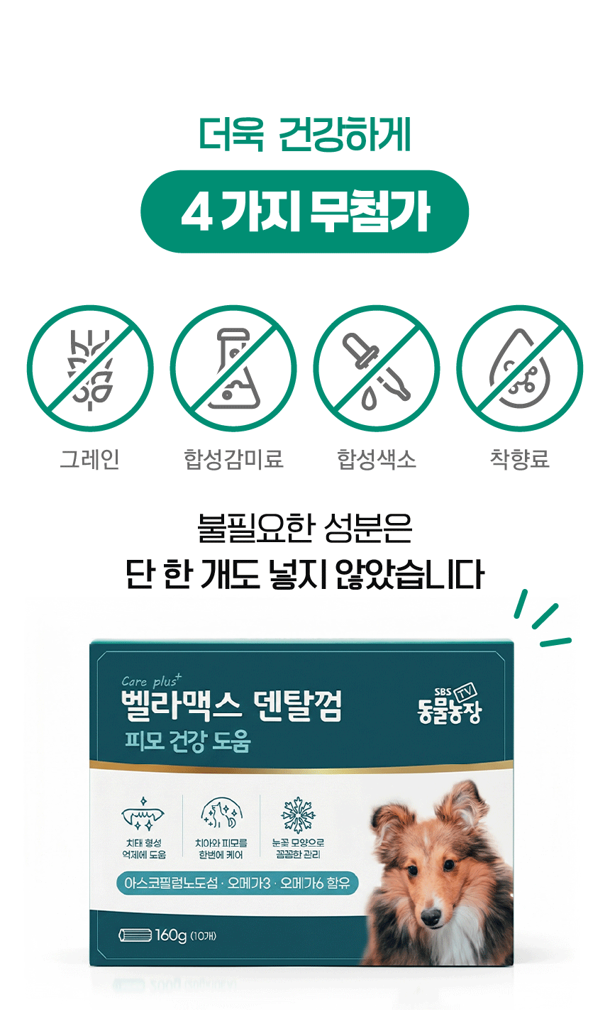 벨라맥스 SBS TV 동물농장 수의사 강아지 덴탈껌