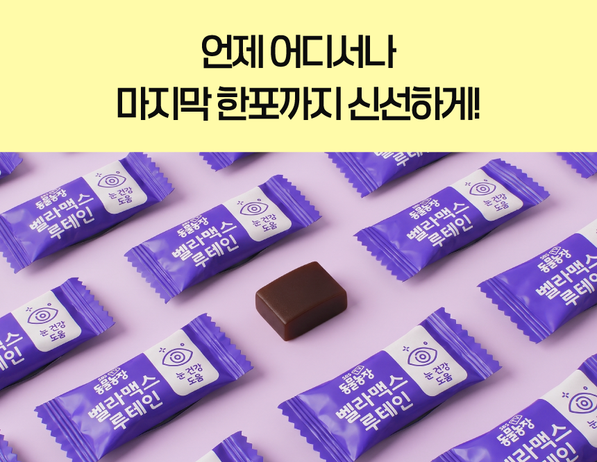 벨라맥스 SBS TV 동물농장 수의사 강아지 눈 영양제 루테인