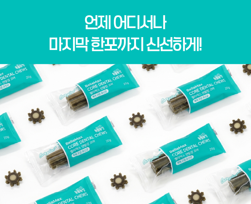 벨라맥스 SBS TV 동물농장 수의사 강아지 덴탈껌 코어 구강 유산균