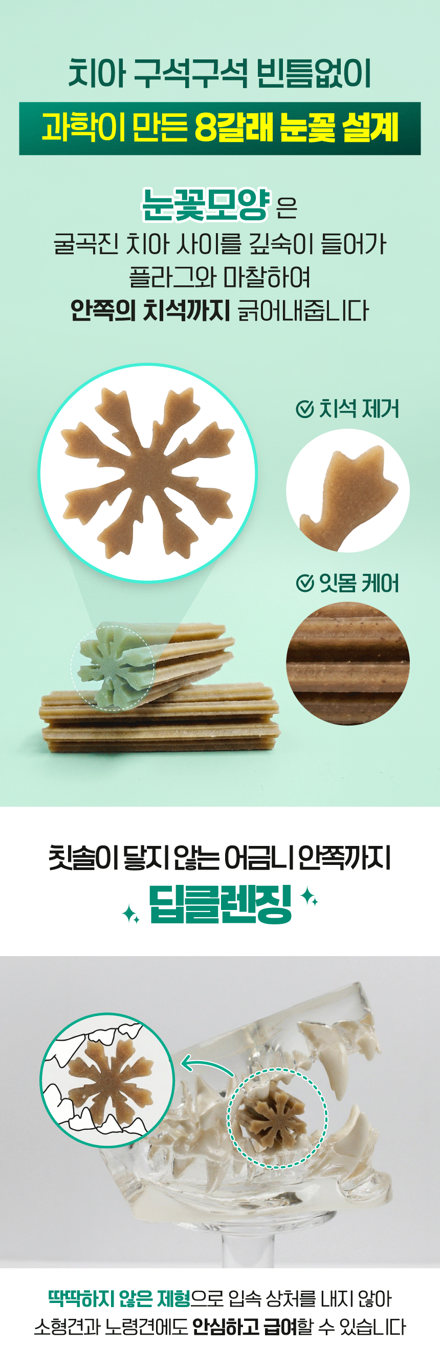 벨라맥스 SBS TV 동물농장 수의사 강아지 덴탈껌
