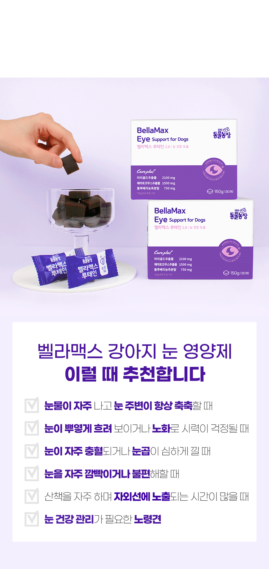 벨라맥스 SBS TV 동물농장 수의사 강아지 눈 영양제 루테인