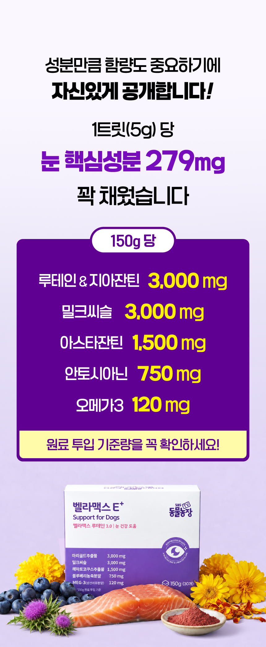 벨라맥스 SBS TV 동물농장 수의사 강아지 눈 영양제 루테인