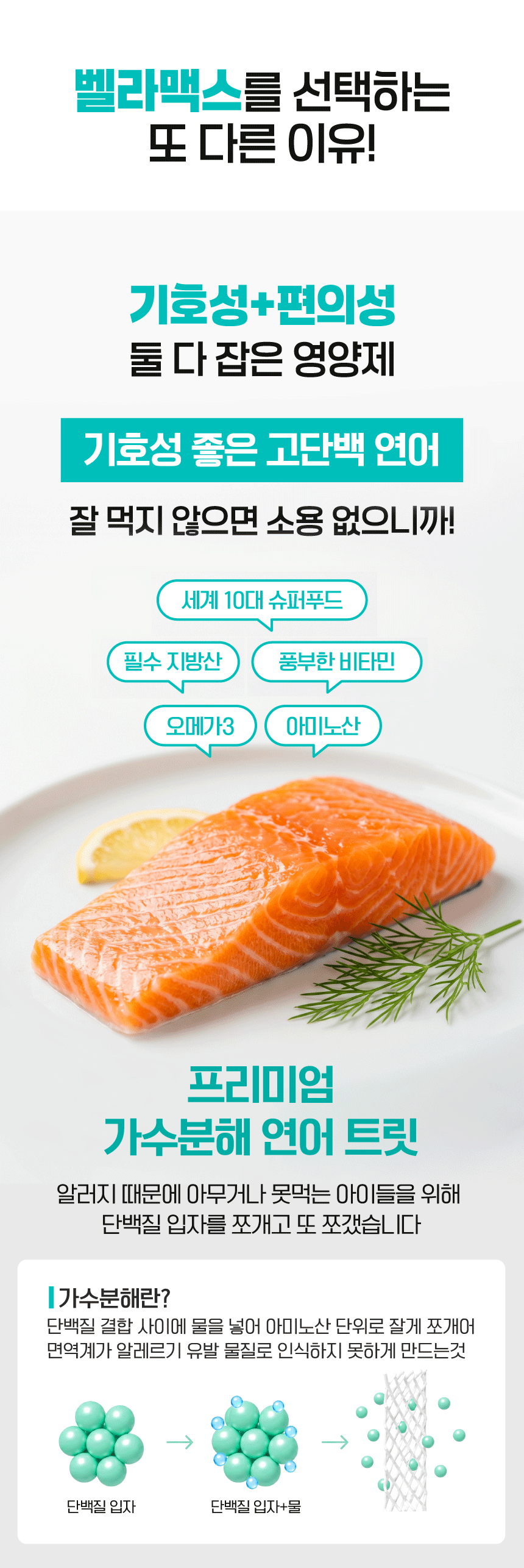 벨라맥스 SBS TV 동물농장 수의사 강아지 덴탈껌 코어 구강 유산균