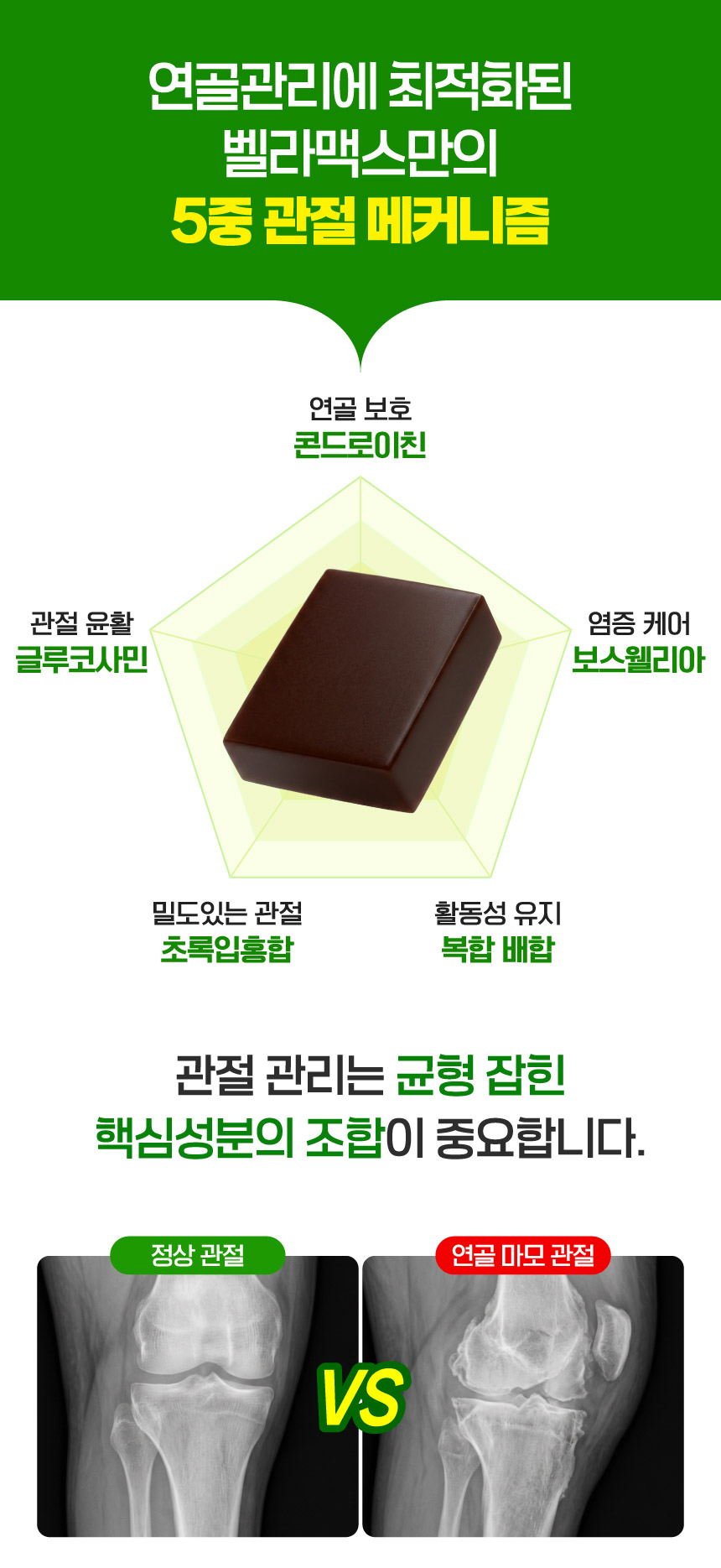 벨라맥스 SBS TV 동물농장 수의사 강아지 관절 영양제 콘드로이친