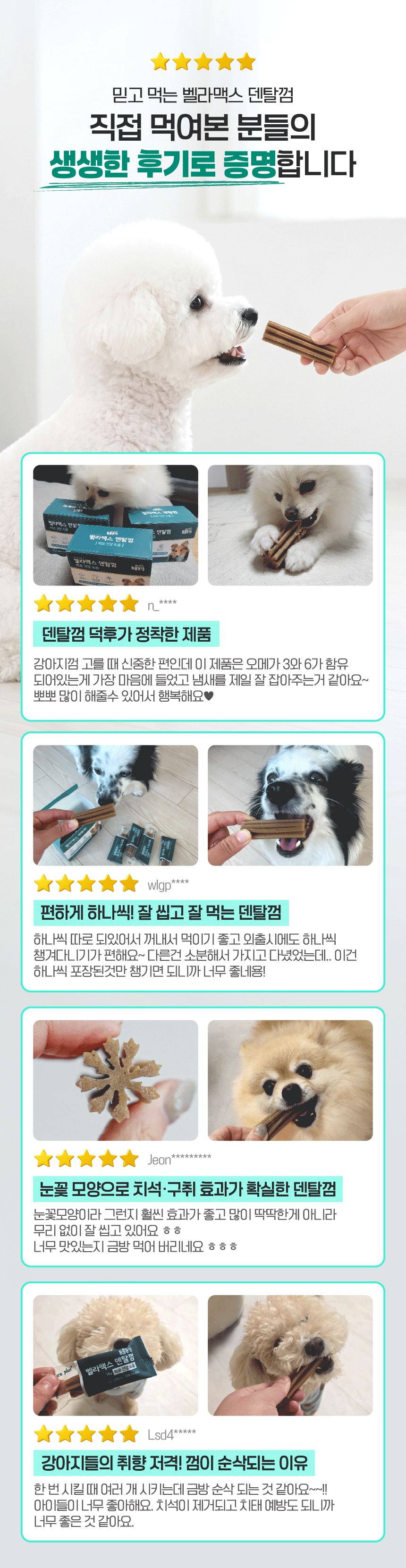벨라맥스 SBS TV 동물농장 수의사 강아지 덴탈껌
