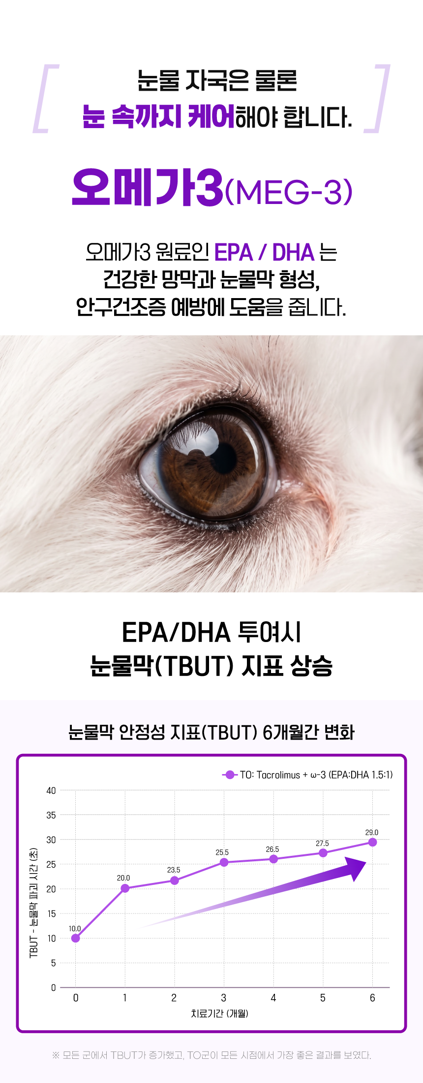벨라맥스 SBS TV 동물농장 수의사 강아지 눈 영양제 루테인