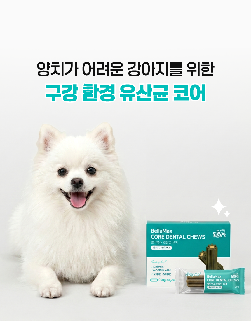 벨라맥스 SBS TV 동물농장 수의사 강아지 덴탈껌 코어 구강 유산균
