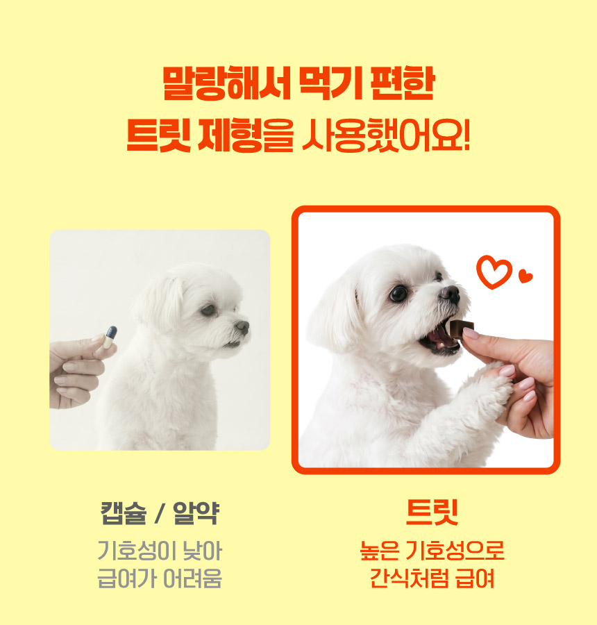 벨라맥스 SBS TV 동물농장 수의사 트릿 2종 세트 관절+눈 영양제