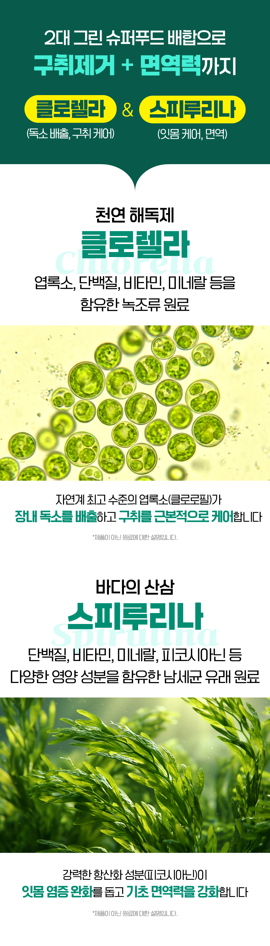 벨라맥스 SBS TV 동물농장 수의사 강아지 덴탈껌
