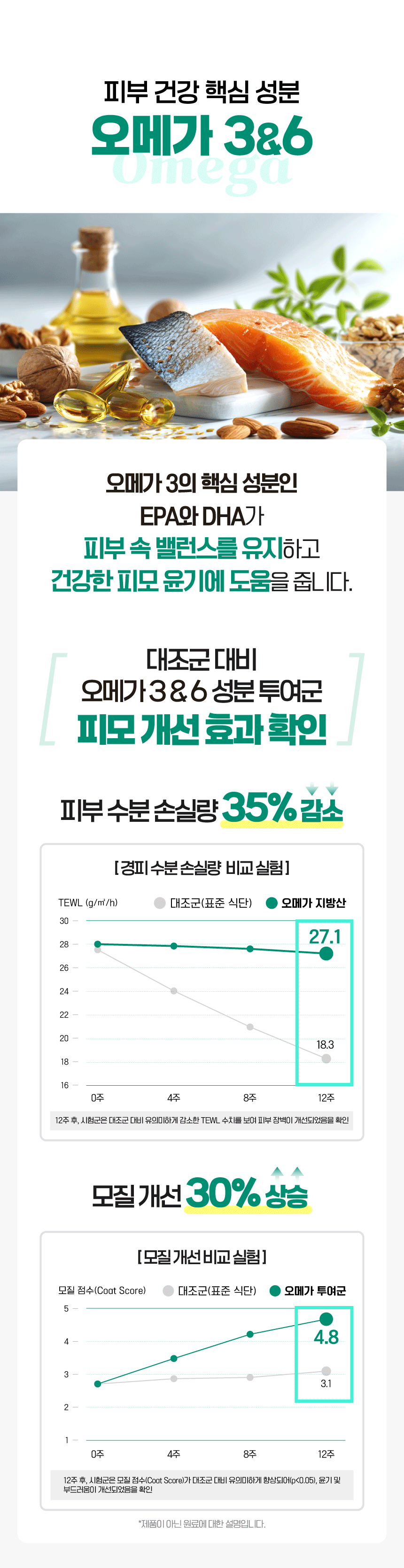 벨라맥스 SBS TV 동물농장 수의사 강아지 덴탈껌