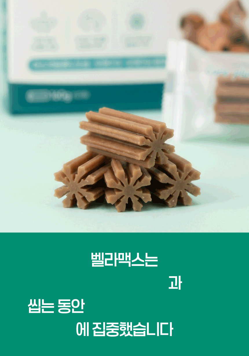 벨라맥스 SBS TV 동물농장 수의사 강아지 덴탈껌