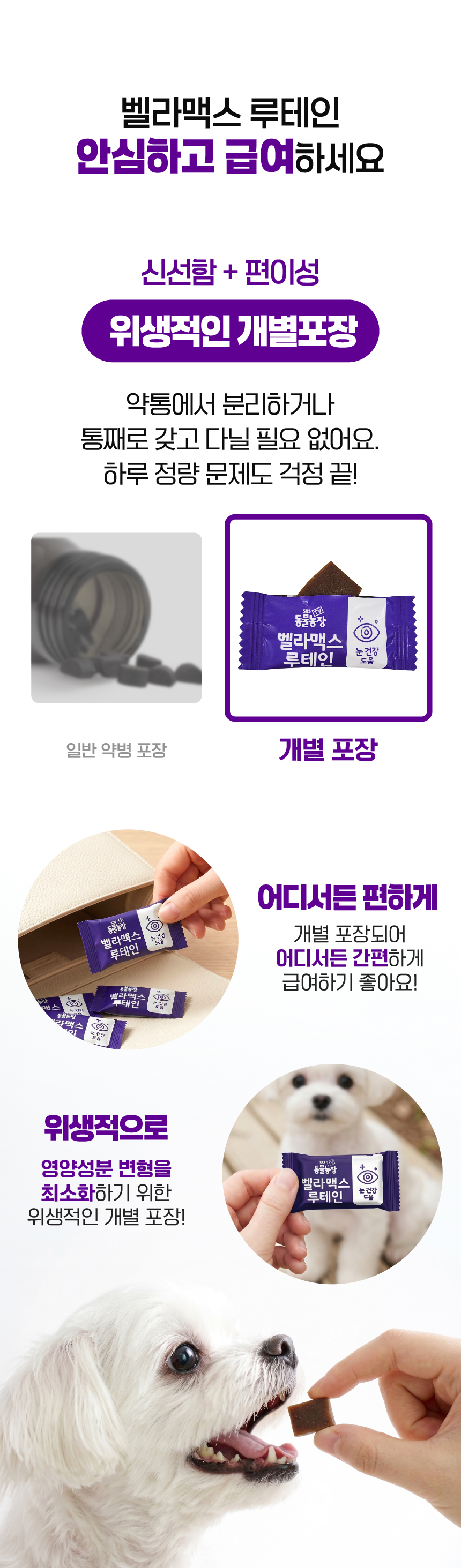 벨라맥스 SBS TV 동물농장 수의사 강아지 눈 영양제 루테인
