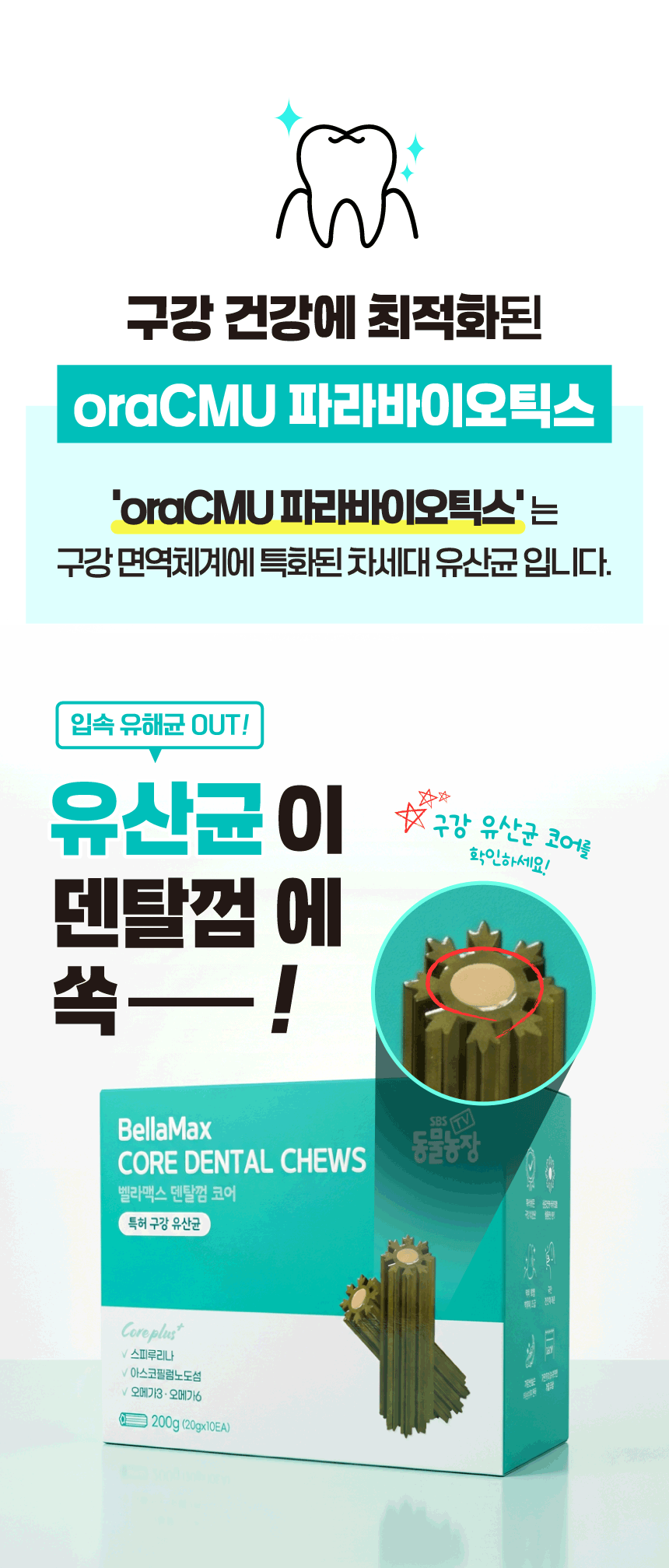 벨라맥스 SBS TV 동물농장 수의사 강아지 덴탈껌 코어 구강 유산균