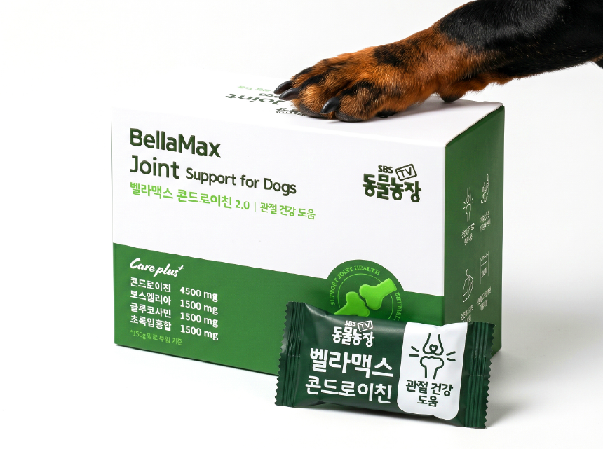 벨라맥스 SBS TV 동물농장 수의사 강아지 관절 영양제 콘드로이친
