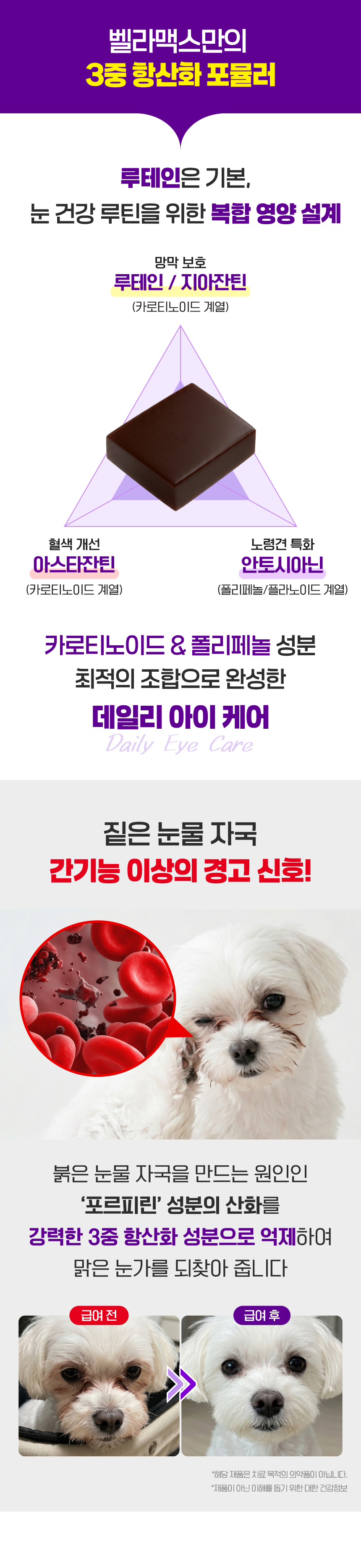 벨라맥스 SBS TV 동물농장 수의사 강아지 눈 영양제 루테인