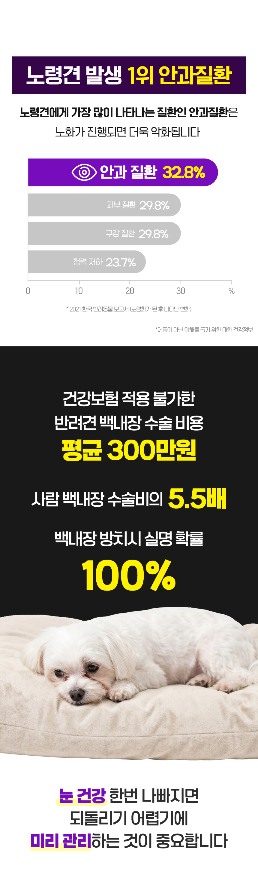 벨라맥스 SBS TV 동물농장 수의사 강아지 눈 영양제 루테인