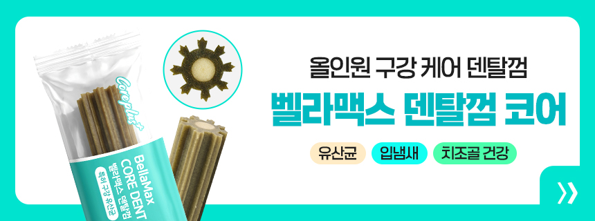 벨라맥스 SBS TV 동물농장 수의사 강아지 덴탈껌