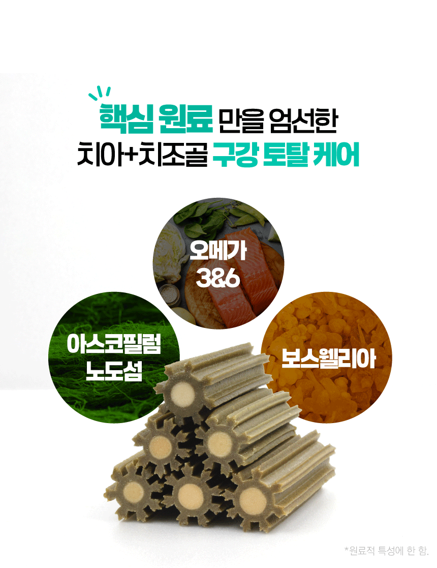 벨라맥스 SBS TV 동물농장 수의사 강아지 덴탈껌 코어 구강 유산균