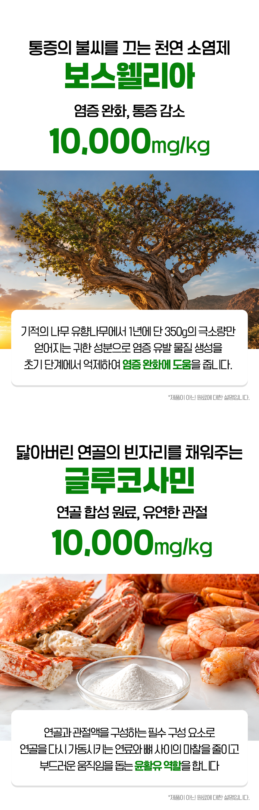 벨라맥스 SBS TV 동물농장 수의사 강아지 관절 영양제 콘드로이친