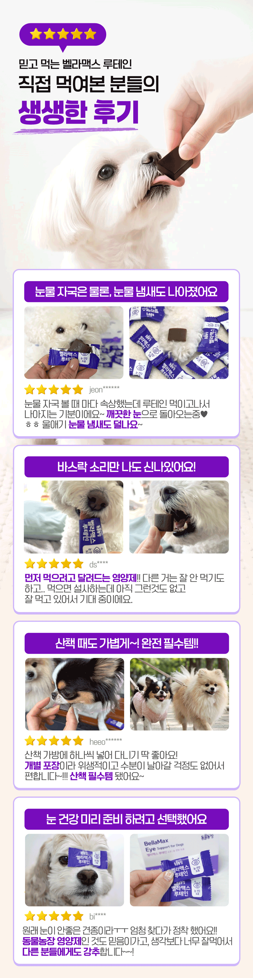 벨라맥스 SBS TV 동물농장 수의사 강아지 눈 영양제 루테인