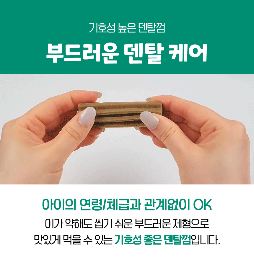 벨라맥스 SBS TV 동물농장 수의사 강아지 덴탈껌
