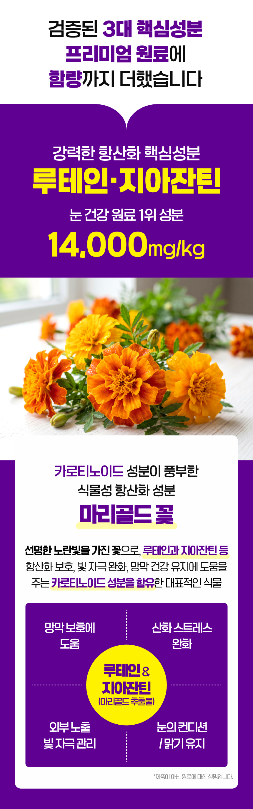 벨라맥스 SBS TV 동물농장 수의사 강아지 눈 영양제 루테인