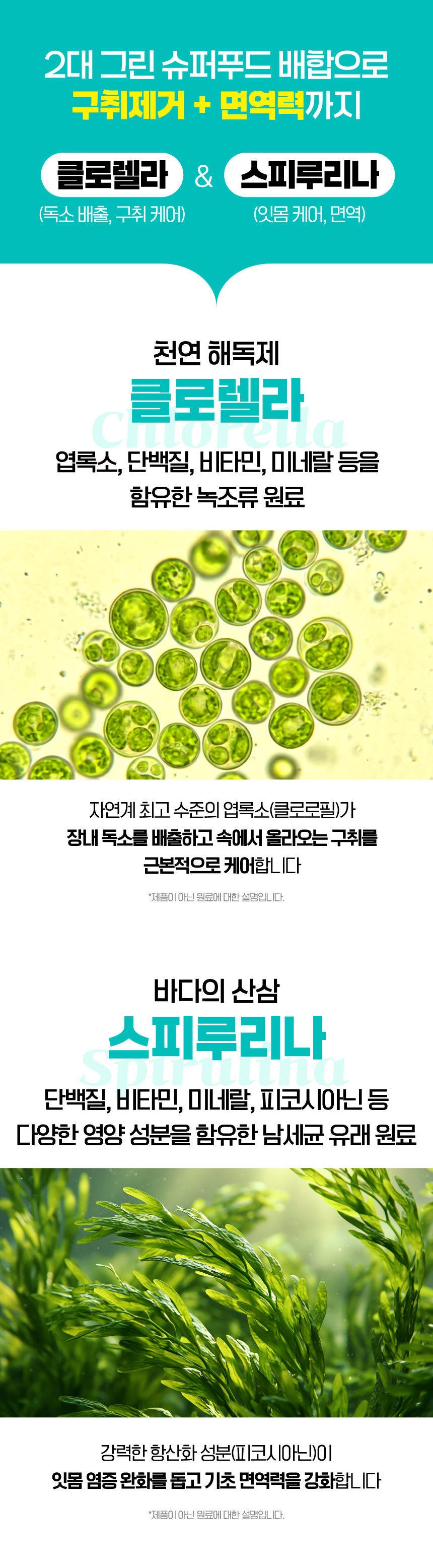 벨라맥스 SBS TV 동물농장 수의사 강아지 덴탈껌 코어 구강 유산균
