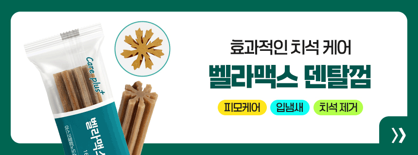 벨라맥스 SBS TV 동물농장 수의사 강아지 덴탈껌 코어 구강 유산균