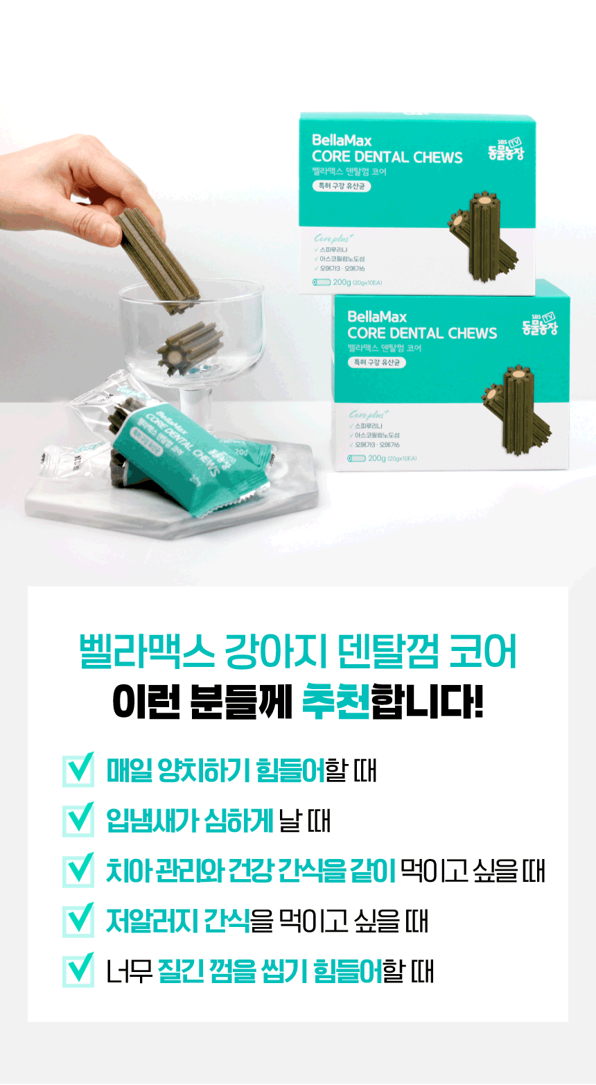 벨라맥스 SBS TV 동물농장 수의사 강아지 덴탈껌 코어 구강 유산균