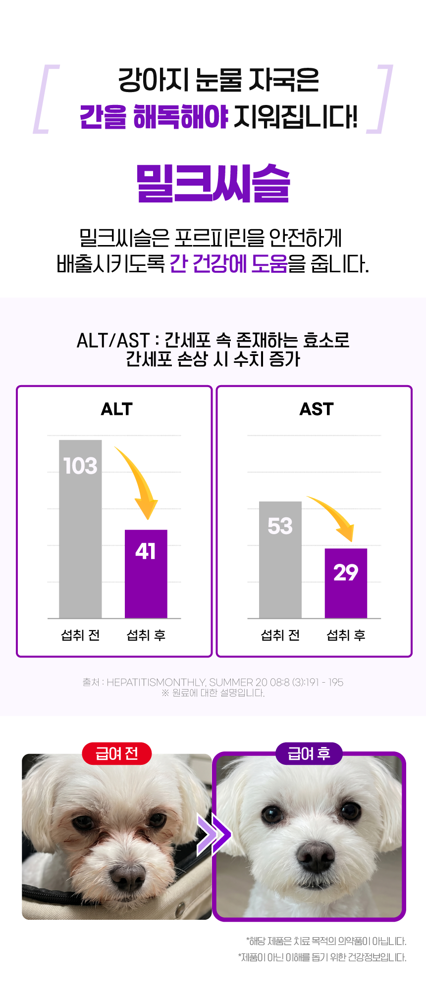 벨라맥스 SBS TV 동물농장 수의사 강아지 눈 영양제 루테인