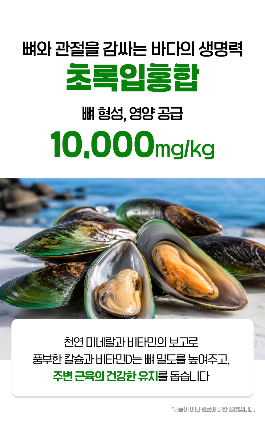 벨라맥스 SBS TV 동물농장 수의사 강아지 관절 영양제 콘드로이친