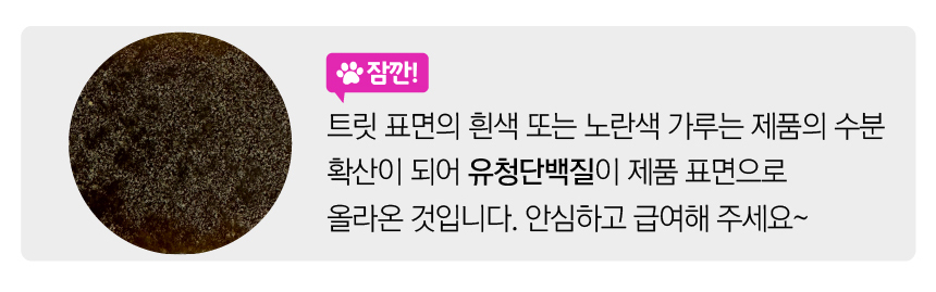 벨라맥스 SBS TV 동물농장 수의사 강아지 눈 영양제 루테인