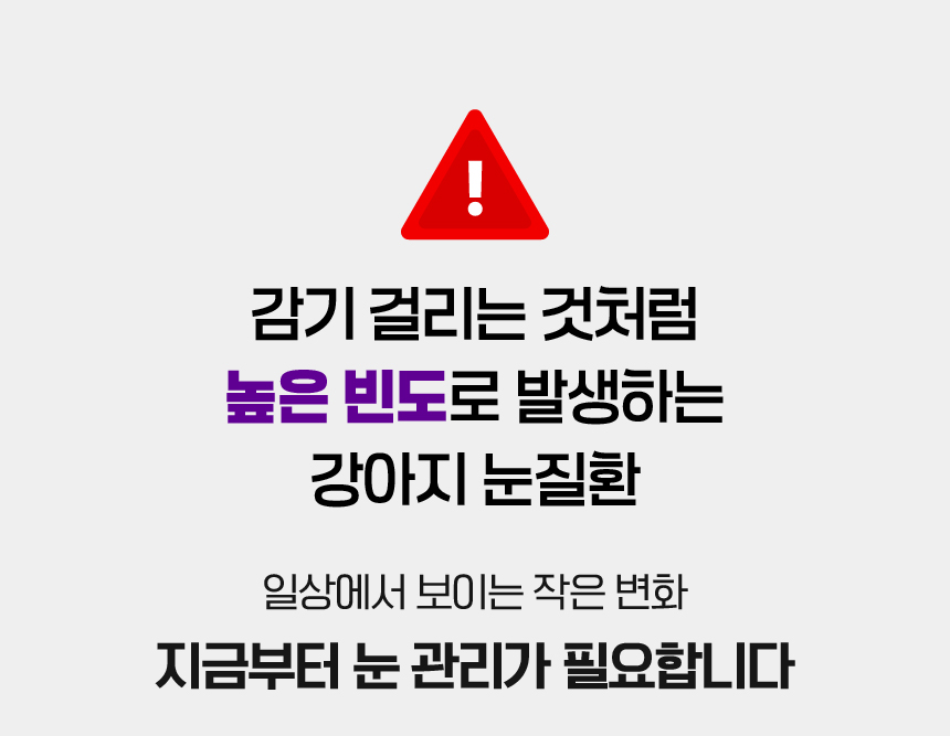 벨라맥스 SBS TV 동물농장 수의사 강아지 눈 영양제 루테인