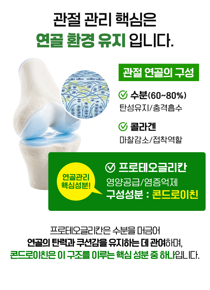 벨라맥스 SBS TV 동물농장 수의사 강아지 관절 영양제 콘드로이친