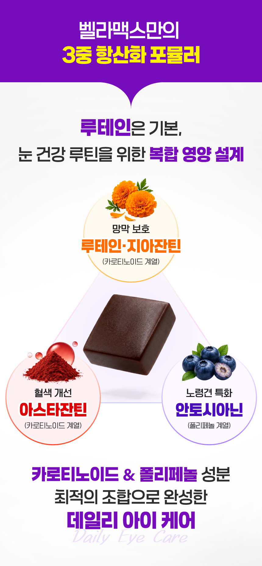 벨라맥스 SBS TV 동물농장 수의사 강아지 눈 영양제 루테인